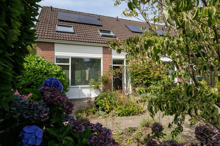 Foto 6 van Dingspil 8