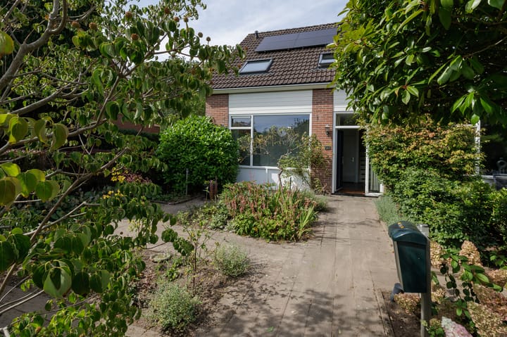 Foto 7 van Dingspil 8