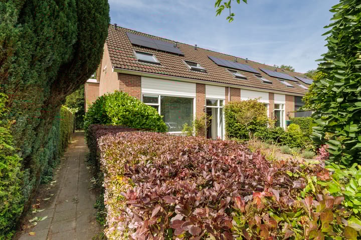 Foto 37 van Dingspil 8