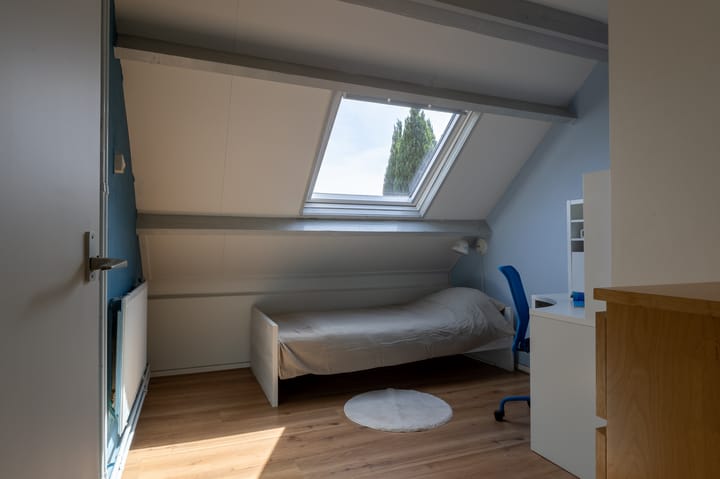 Foto 47 van Dingspil 8