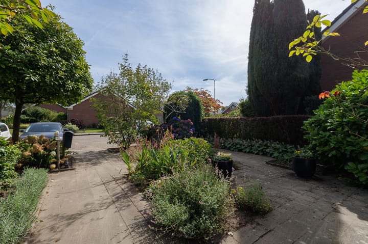 Foto 70 van Dingspil 8