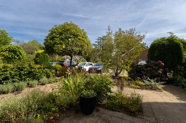 Foto 71 van Dingspil 8