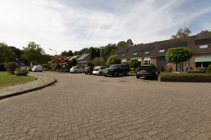 Foto 74 van Dingspil 8