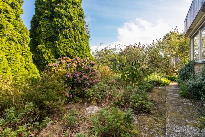 Photo 42 of Gaestwei 2