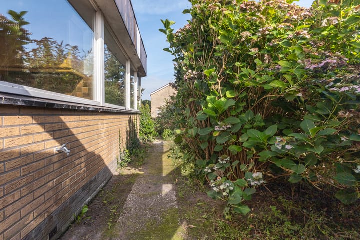 Photo 44 of Gaestwei 2