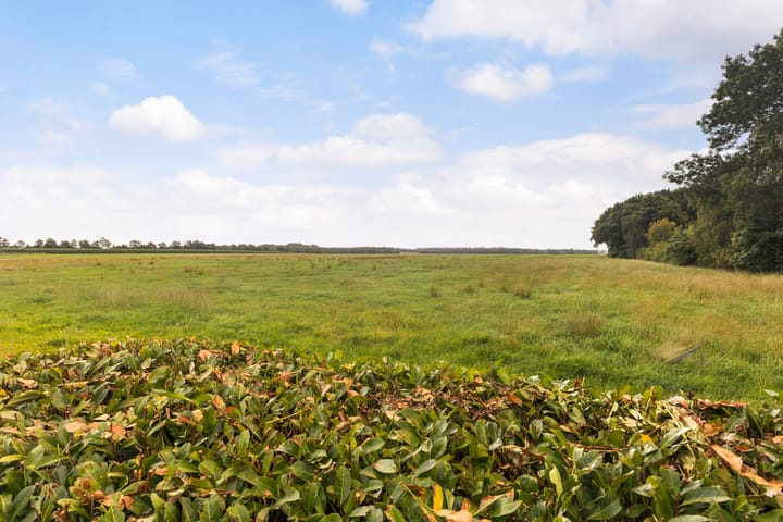 Photo 46 of Gaestwei 2