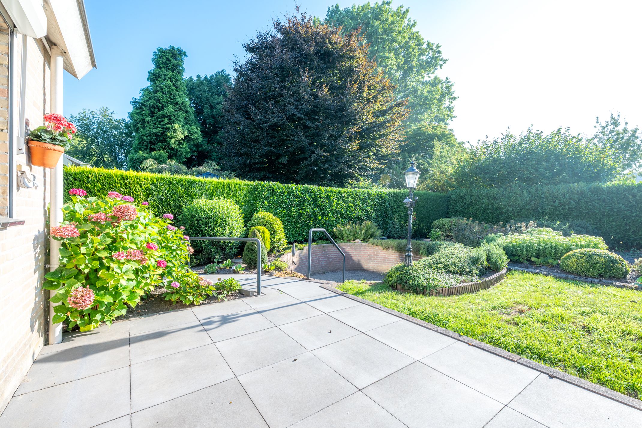 Foto 42 van Standerdmolen 9