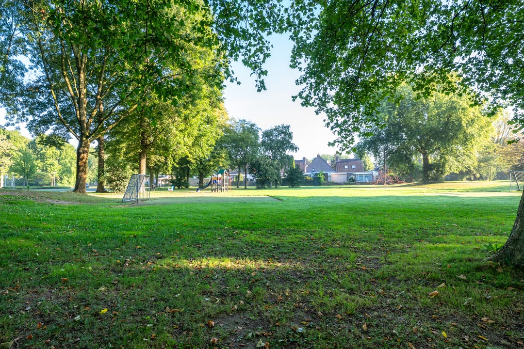 Foto 47 van Standerdmolen 9