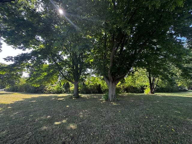 Foto 49 van Standerdmolen 9