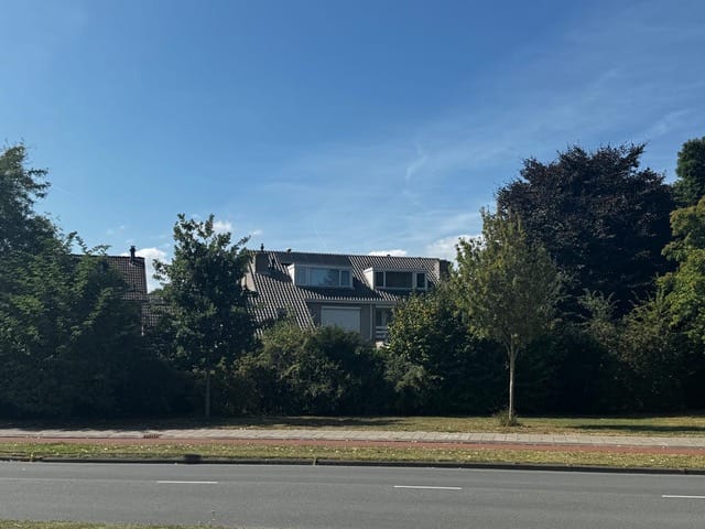 Foto 51 van Standerdmolen 9