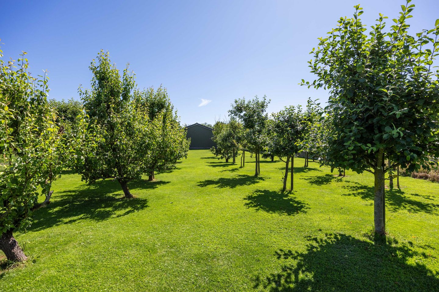 Foto 70 van Hoofdweg-Boven 52