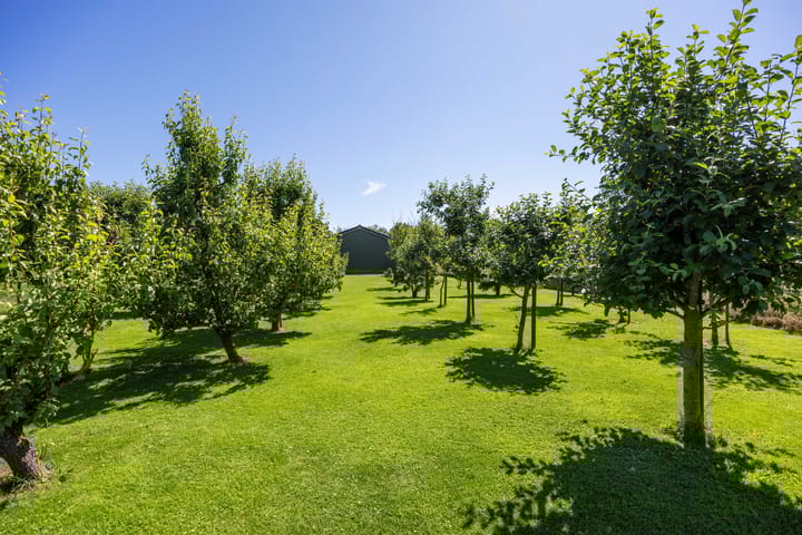 Foto 70 van Hoofdweg-Boven 52