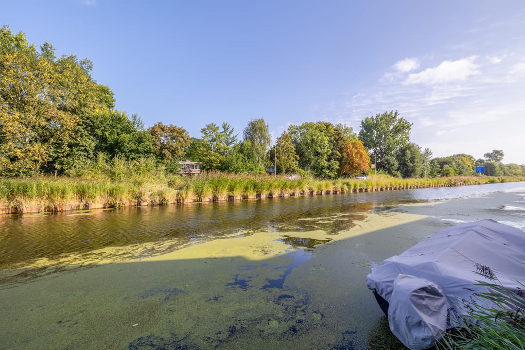 Foto 17 van De Waard 25