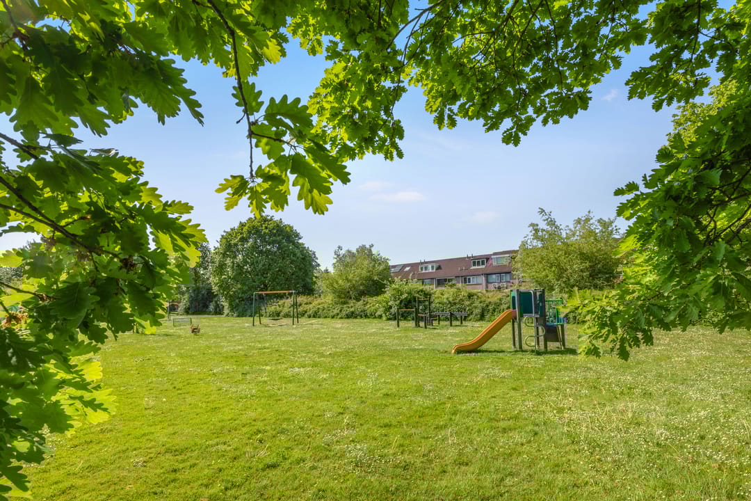 Foto 47 van Orion 76