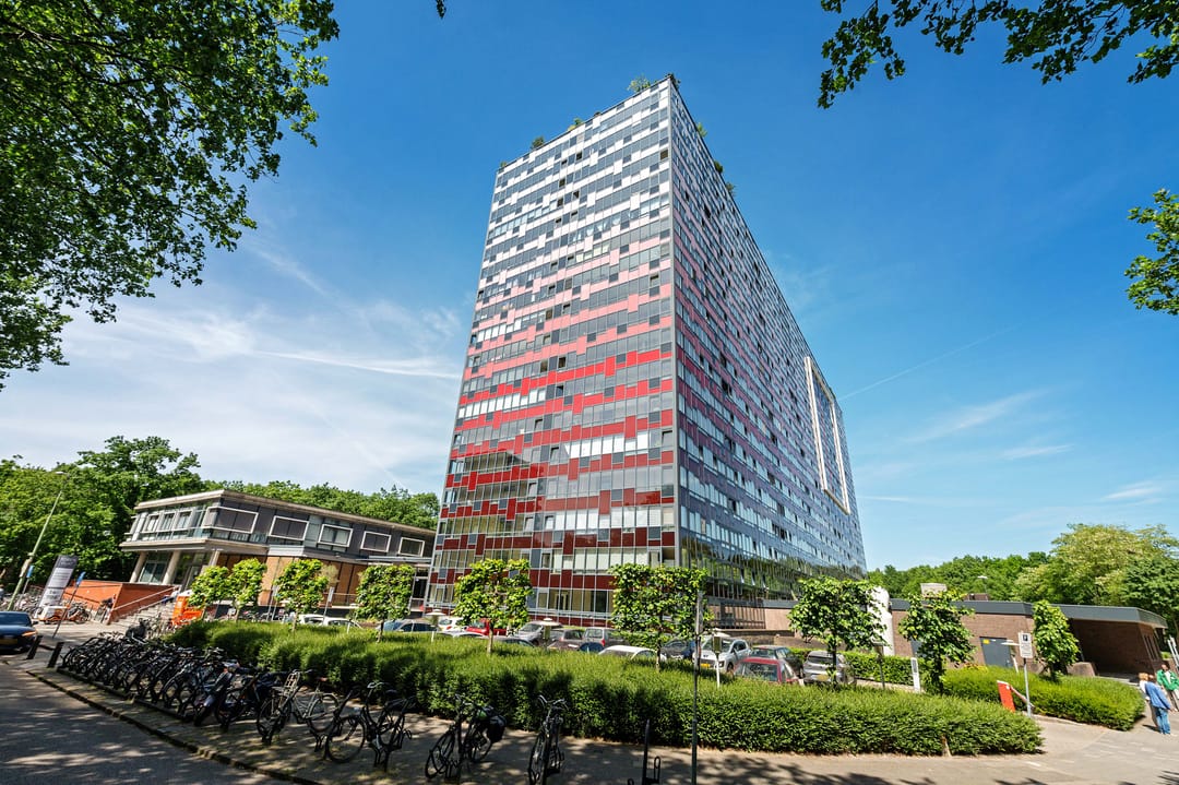 Foto 2 van Laan van Vollenhove 212