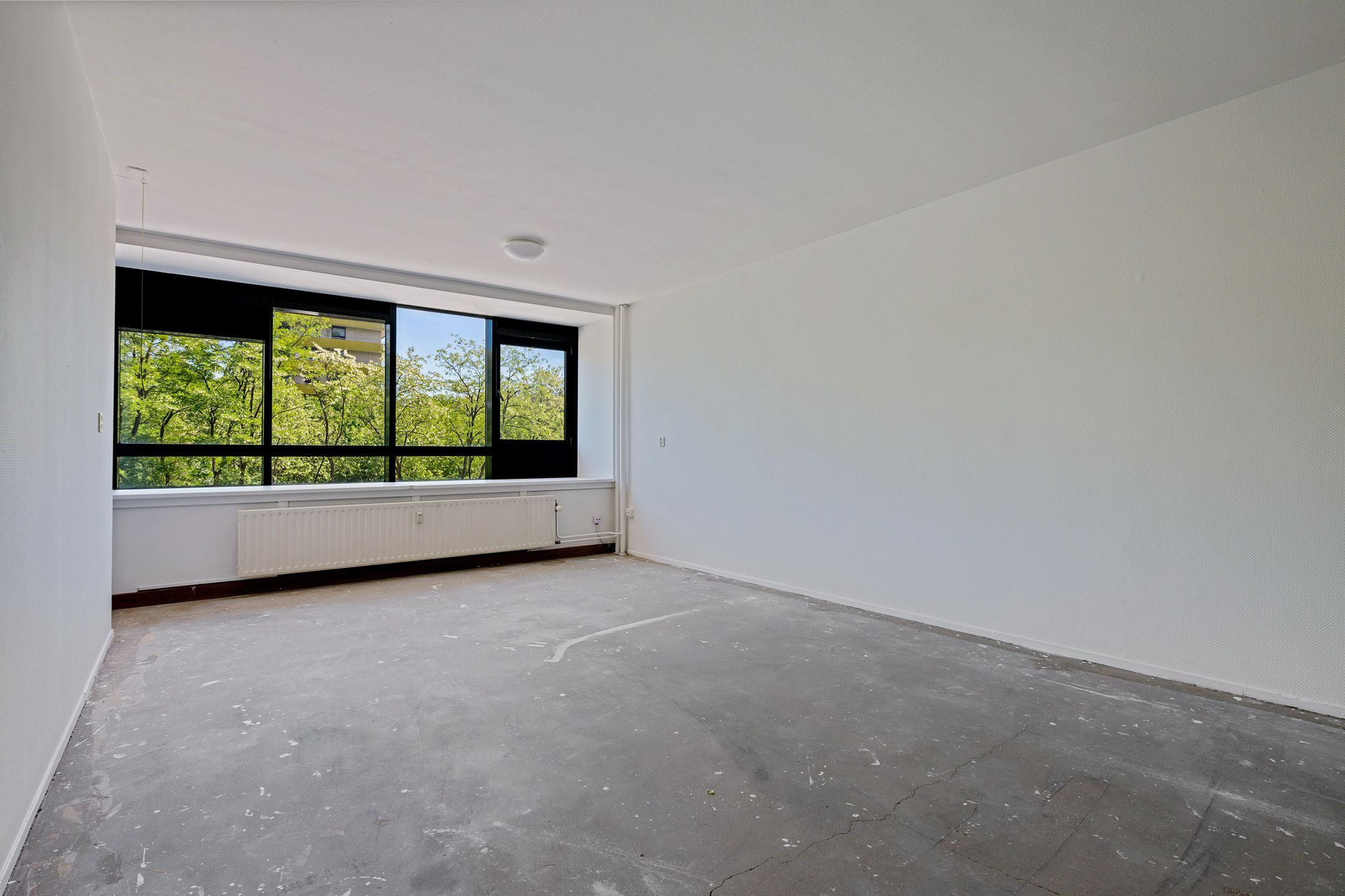 Foto 12 van Laan van Vollenhove 212