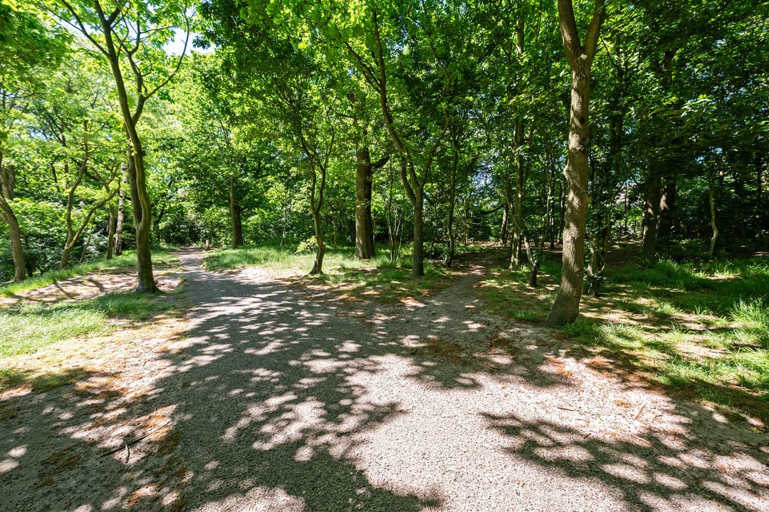 Foto 26 van Laan van Vollenhove 212