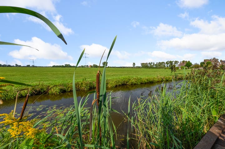 Foto 29 van Klokkemeet 14