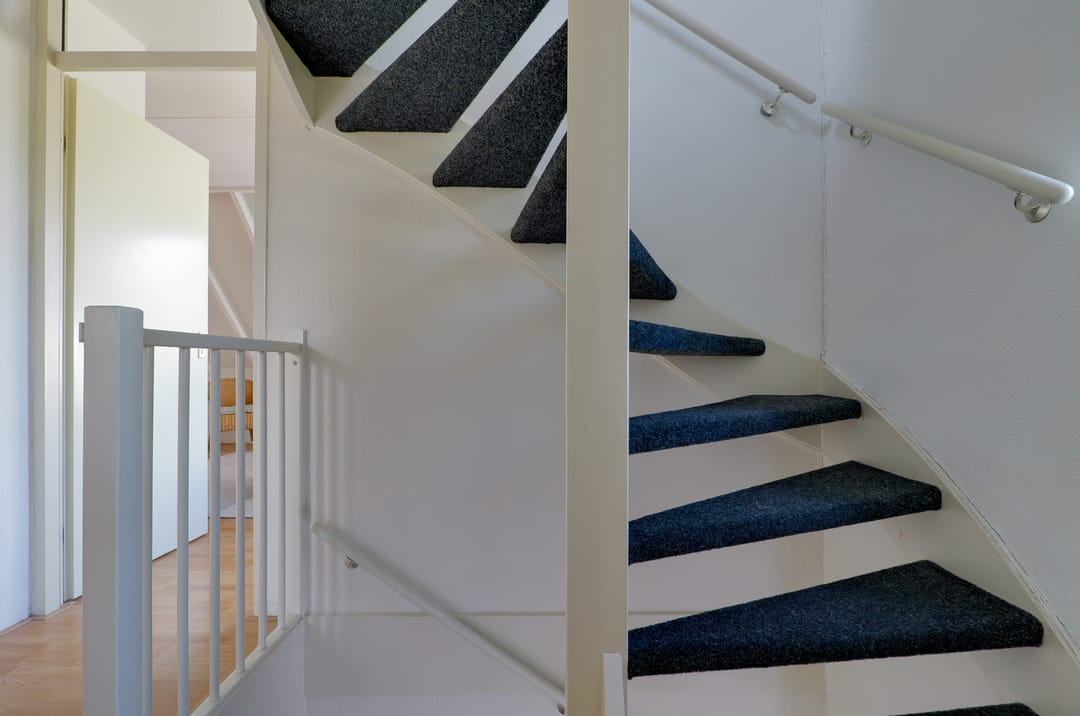 Foto 22 van Kalmoes 60