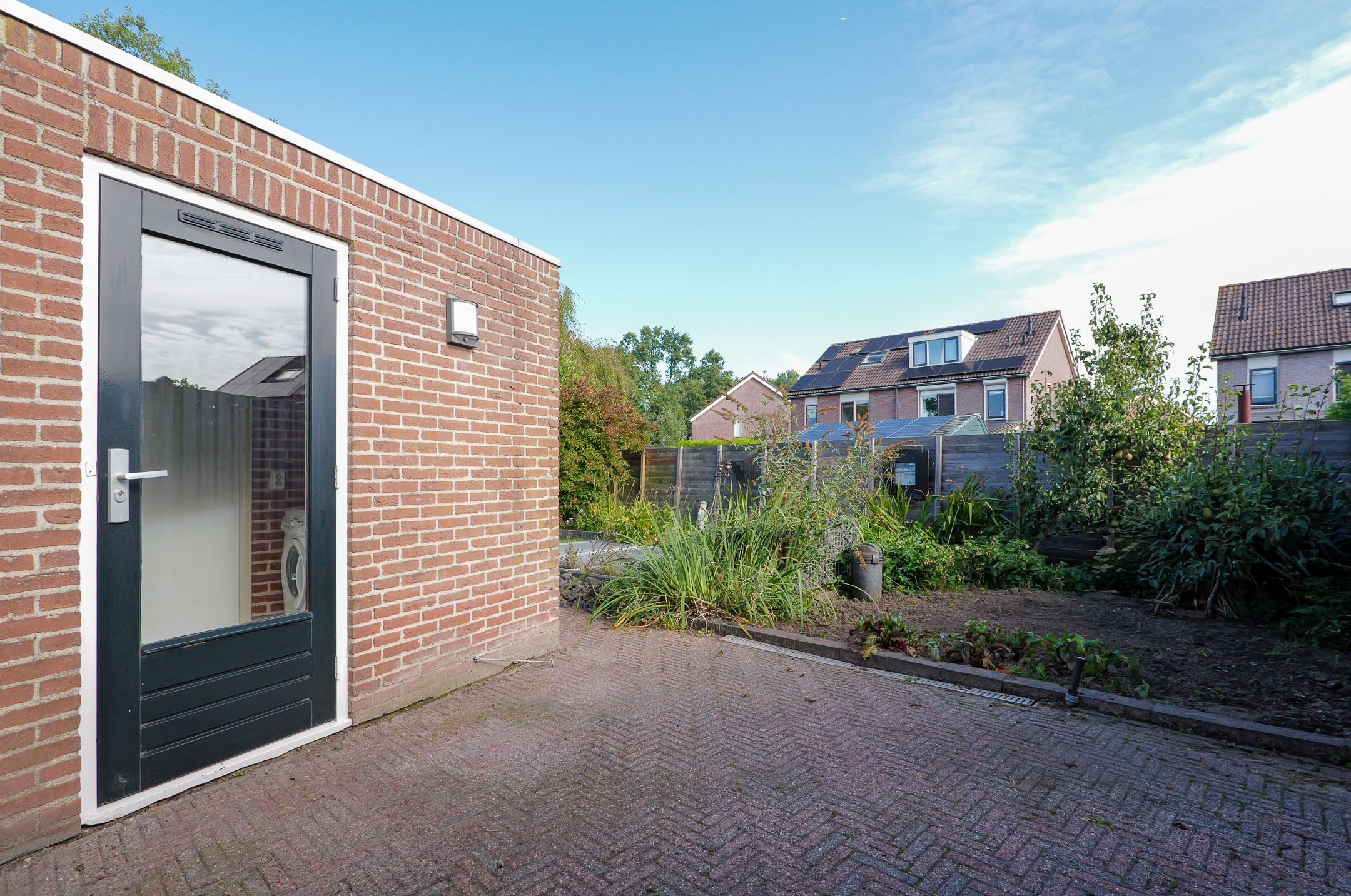 Foto 24 van Kalmoes 60