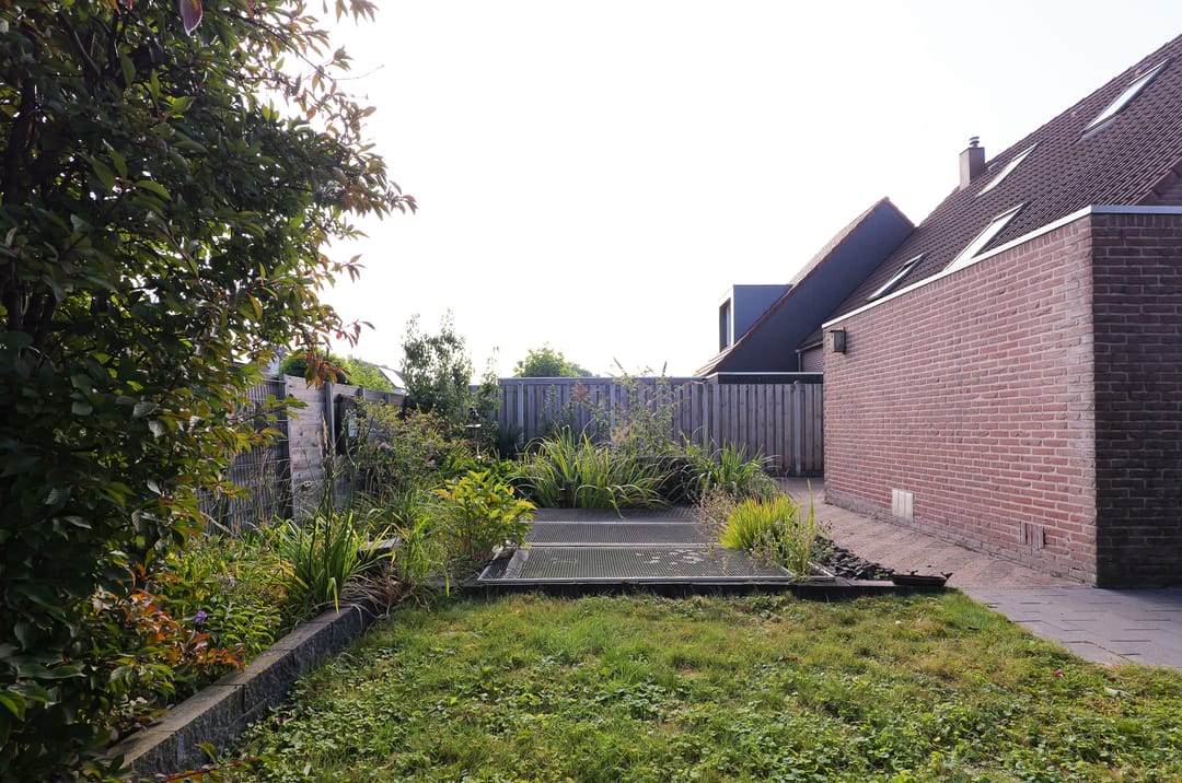 Foto 26 van Kalmoes 60