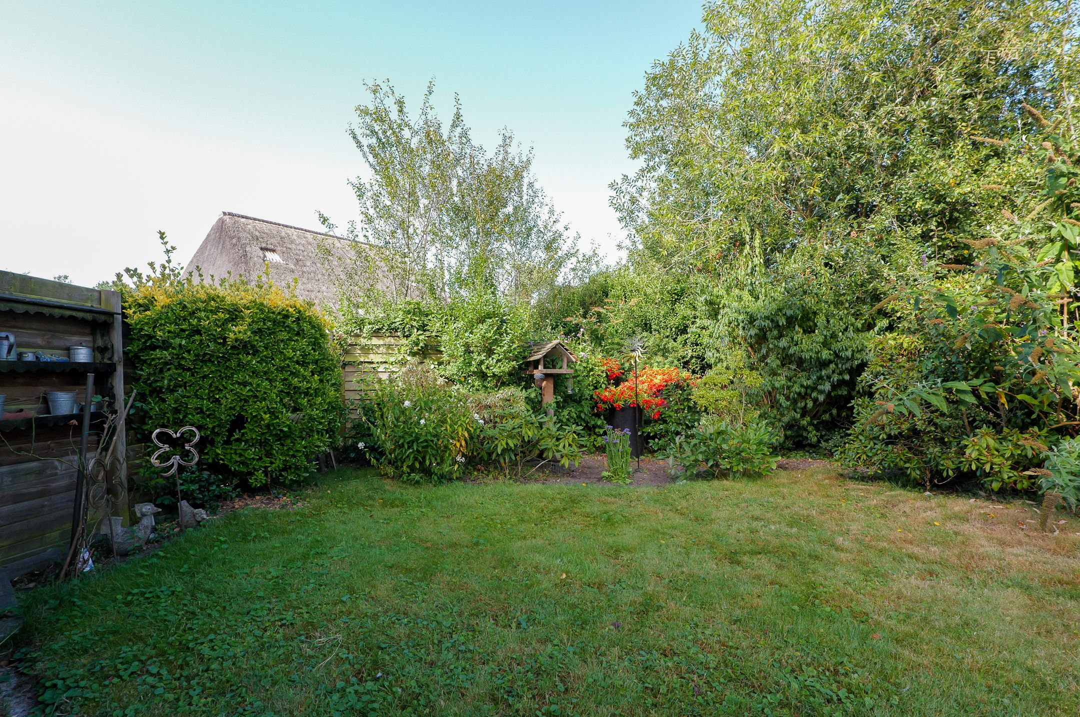 Foto 30 van Kalmoes 60