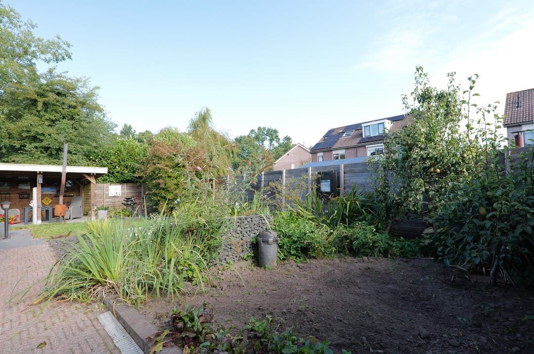 Foto 28 van Kalmoes 60