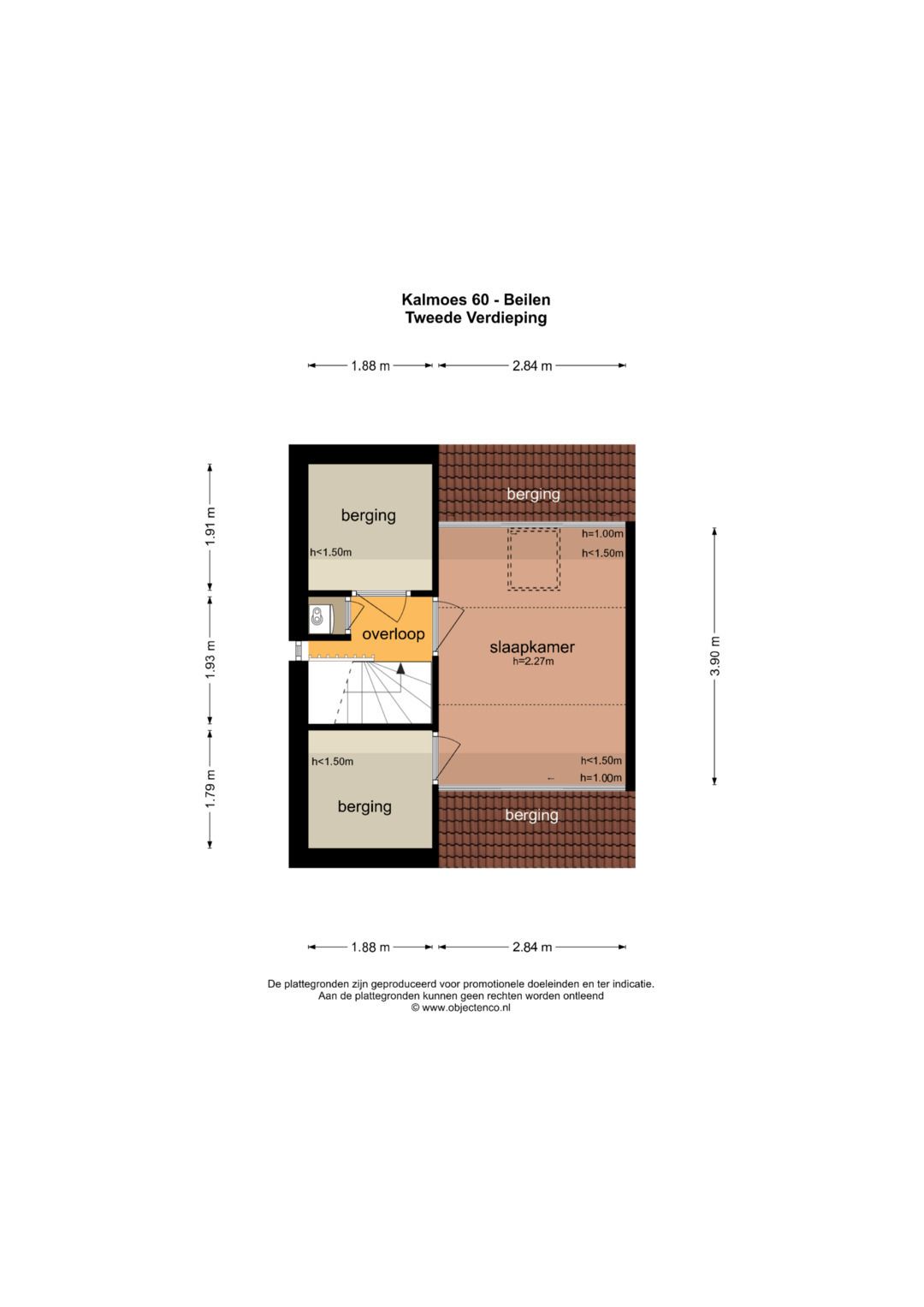 Foto 42 van Kalmoes 60