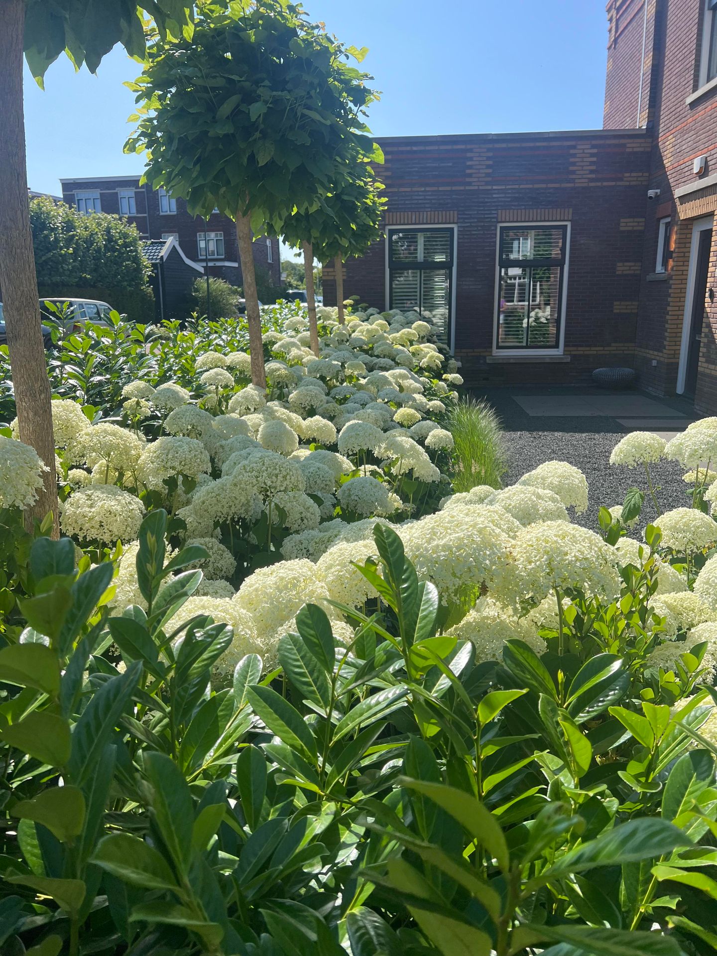 Foto 94 van Thomas Mannsingel 60