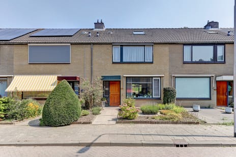 undefined main image