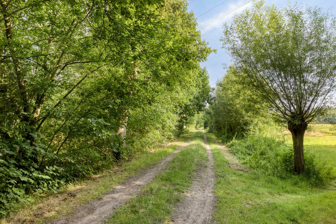 Foto 38 van Morgenroodstraat 37