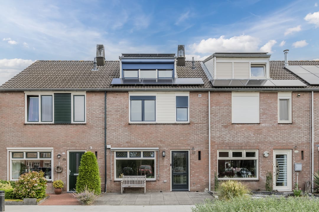 Foto 2 van Zanglijster 117