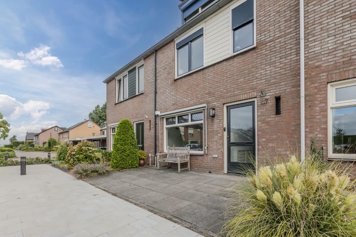 Foto 3 van Zanglijster 117