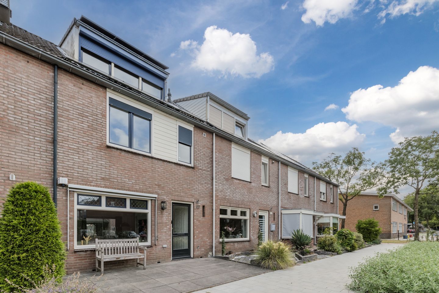 Foto 4 van Zanglijster 117