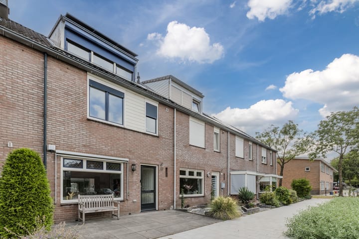 Foto 4 van Zanglijster 117