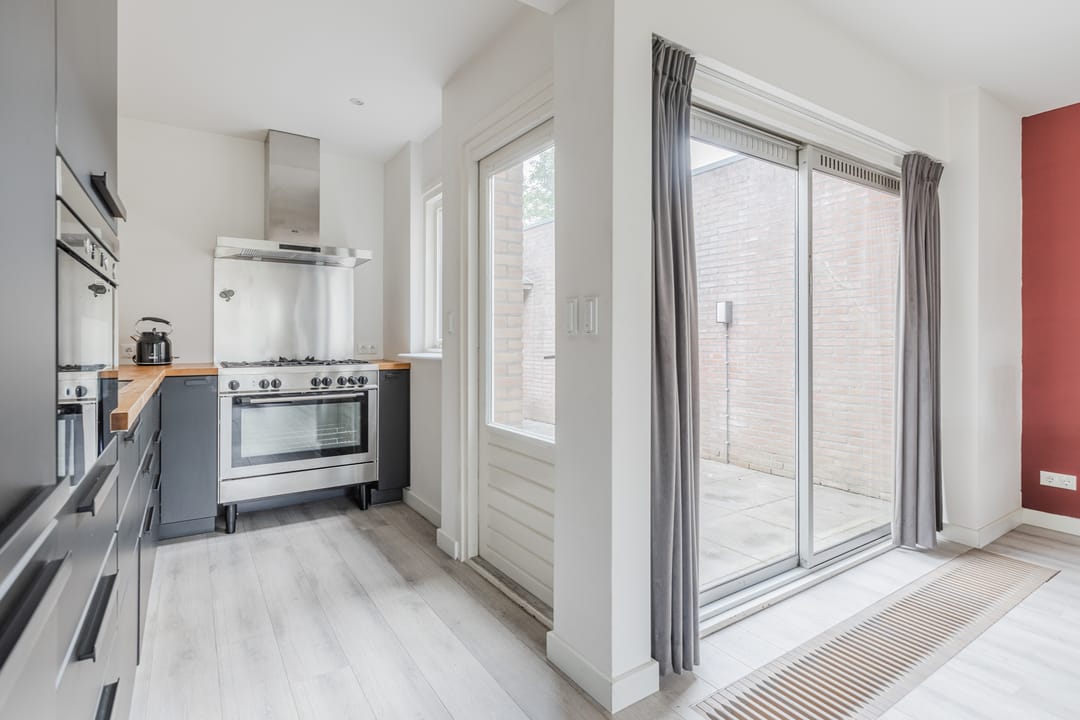 Foto 13 van Zanglijster 117