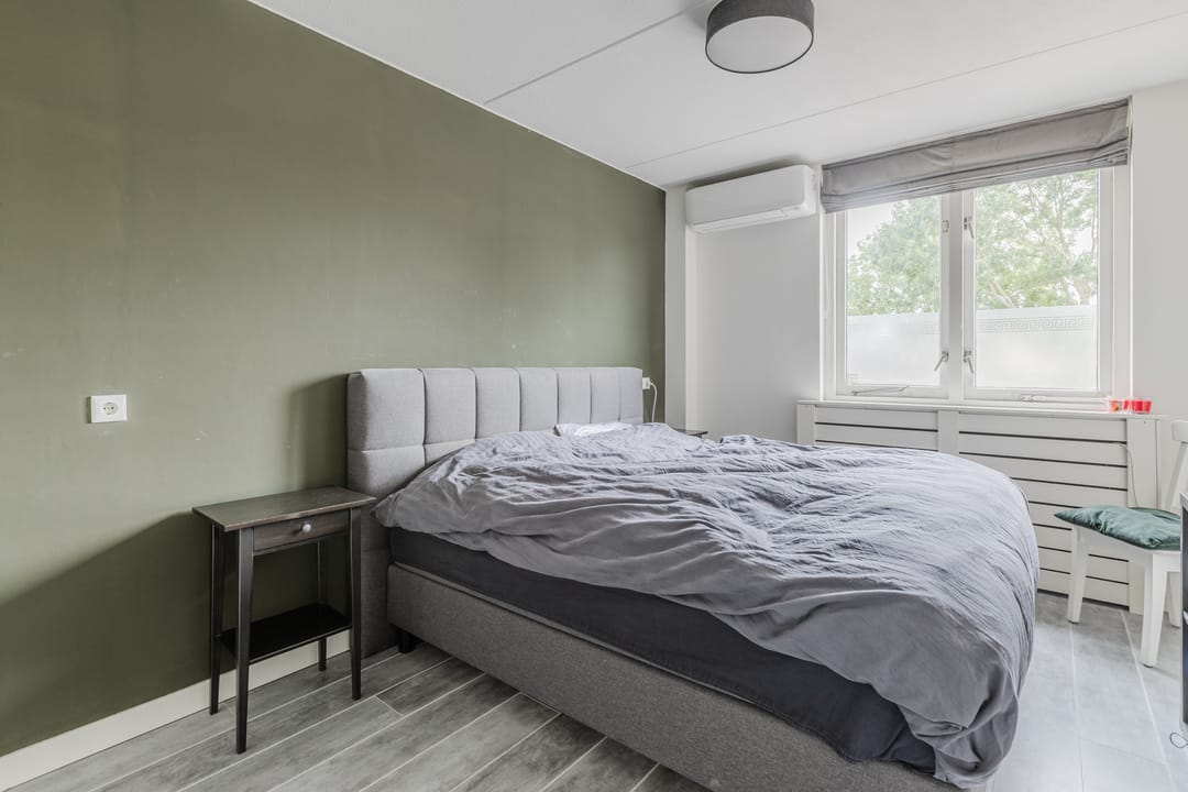 Foto 16 van Zanglijster 117