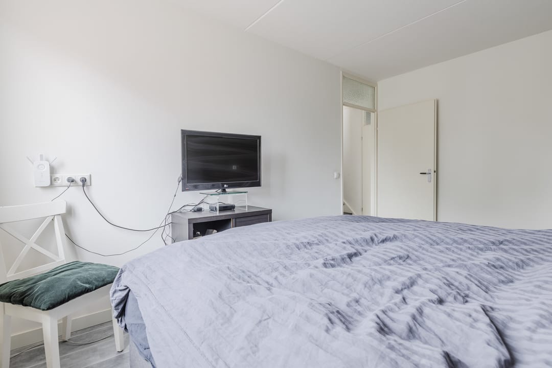 Foto 17 van Zanglijster 117