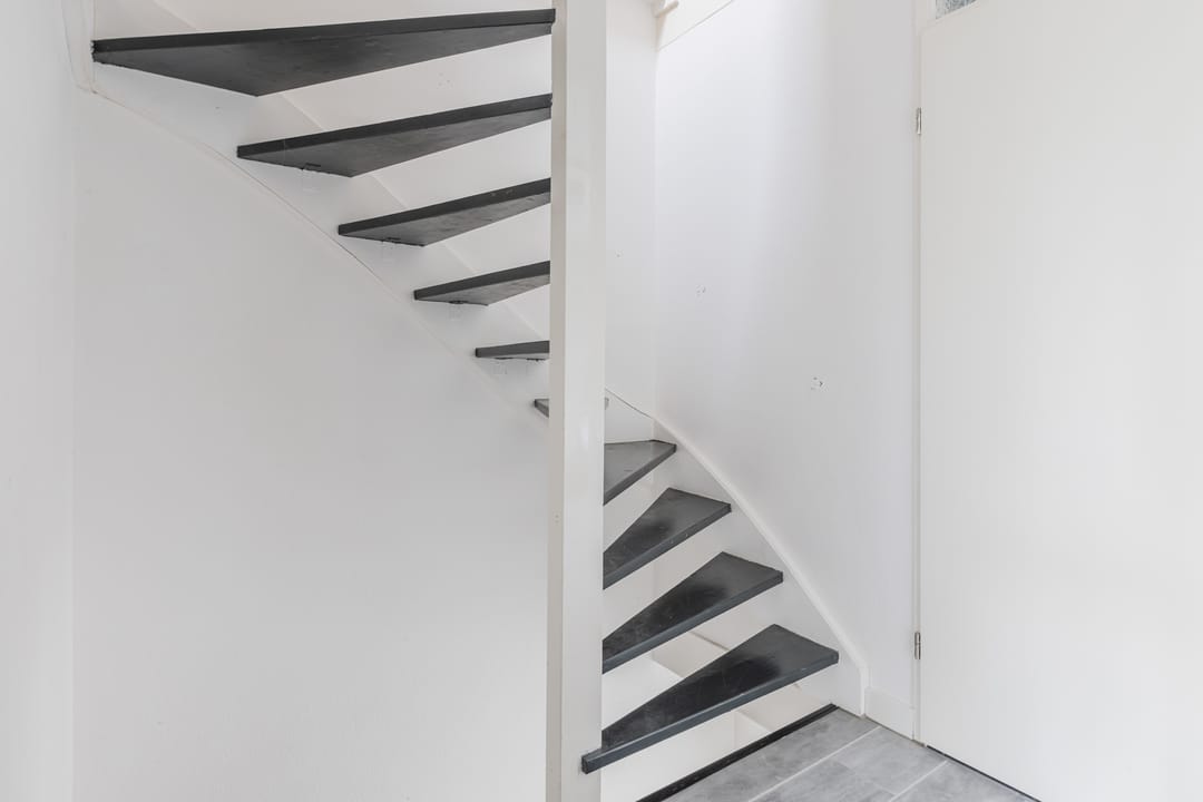 Foto 22 van Zanglijster 117