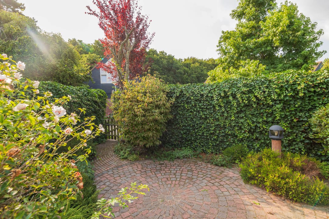 Photo 22 of Duinschooten 12-139