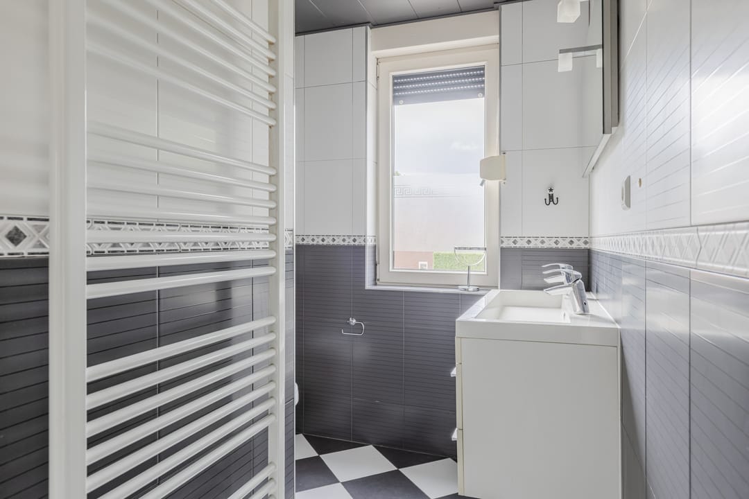 Foto 23 van Zanglijster 117