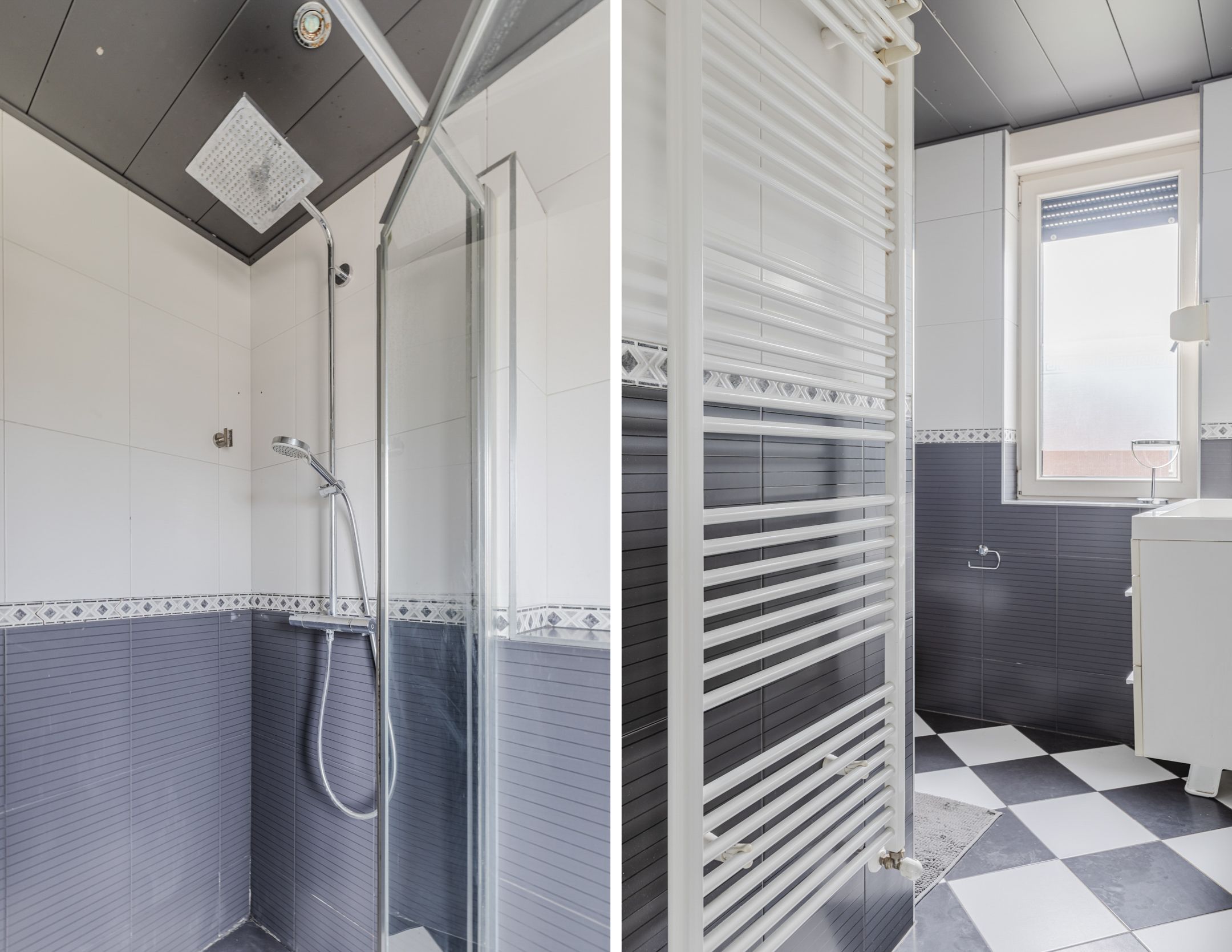 Foto 24 van Zanglijster 117