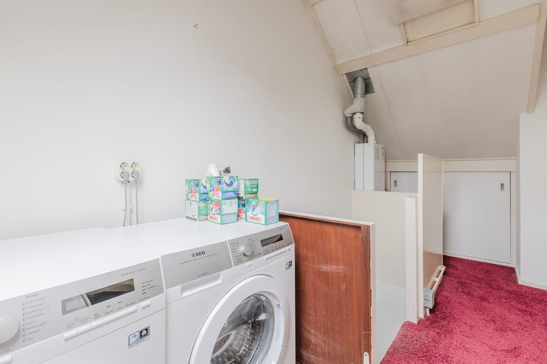 Foto 28 van Zanglijster 117