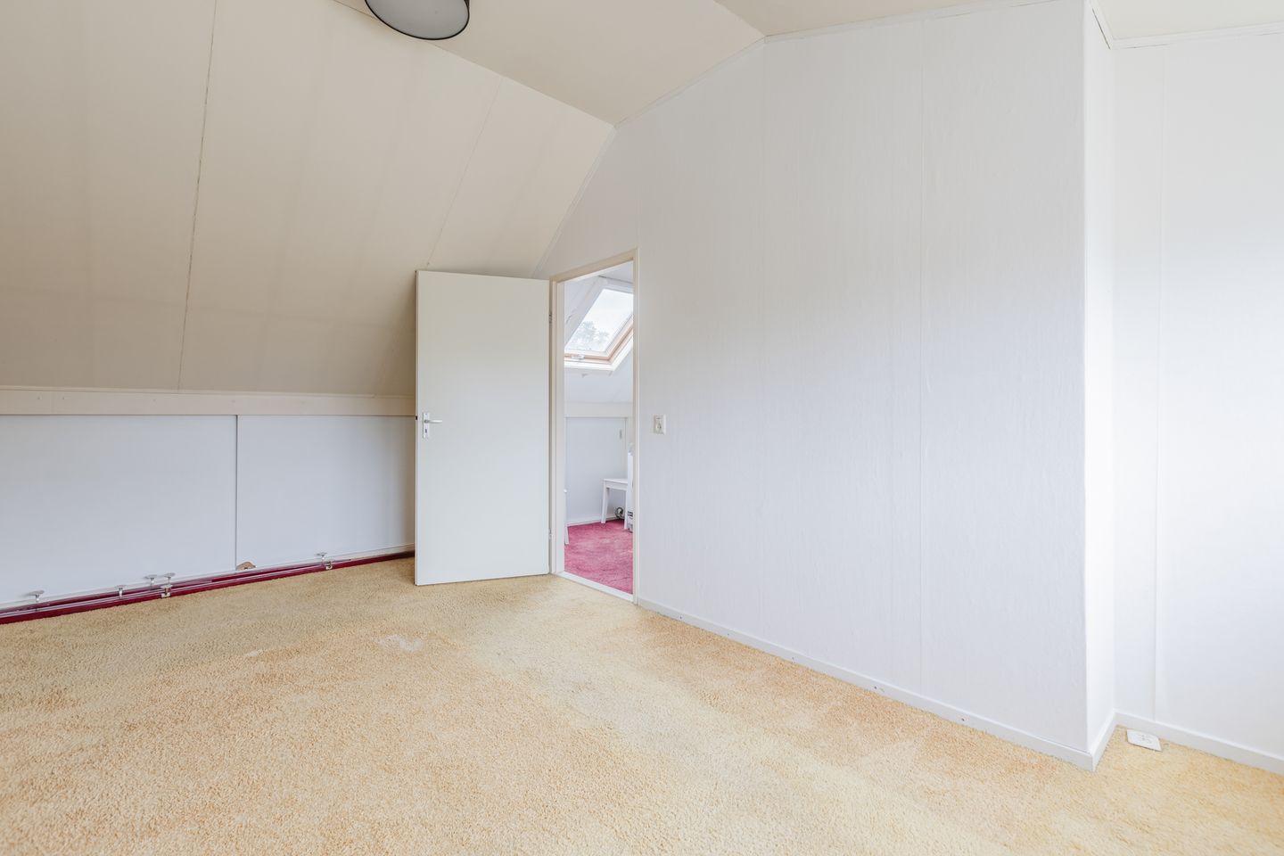 Foto 29 van Zanglijster 117