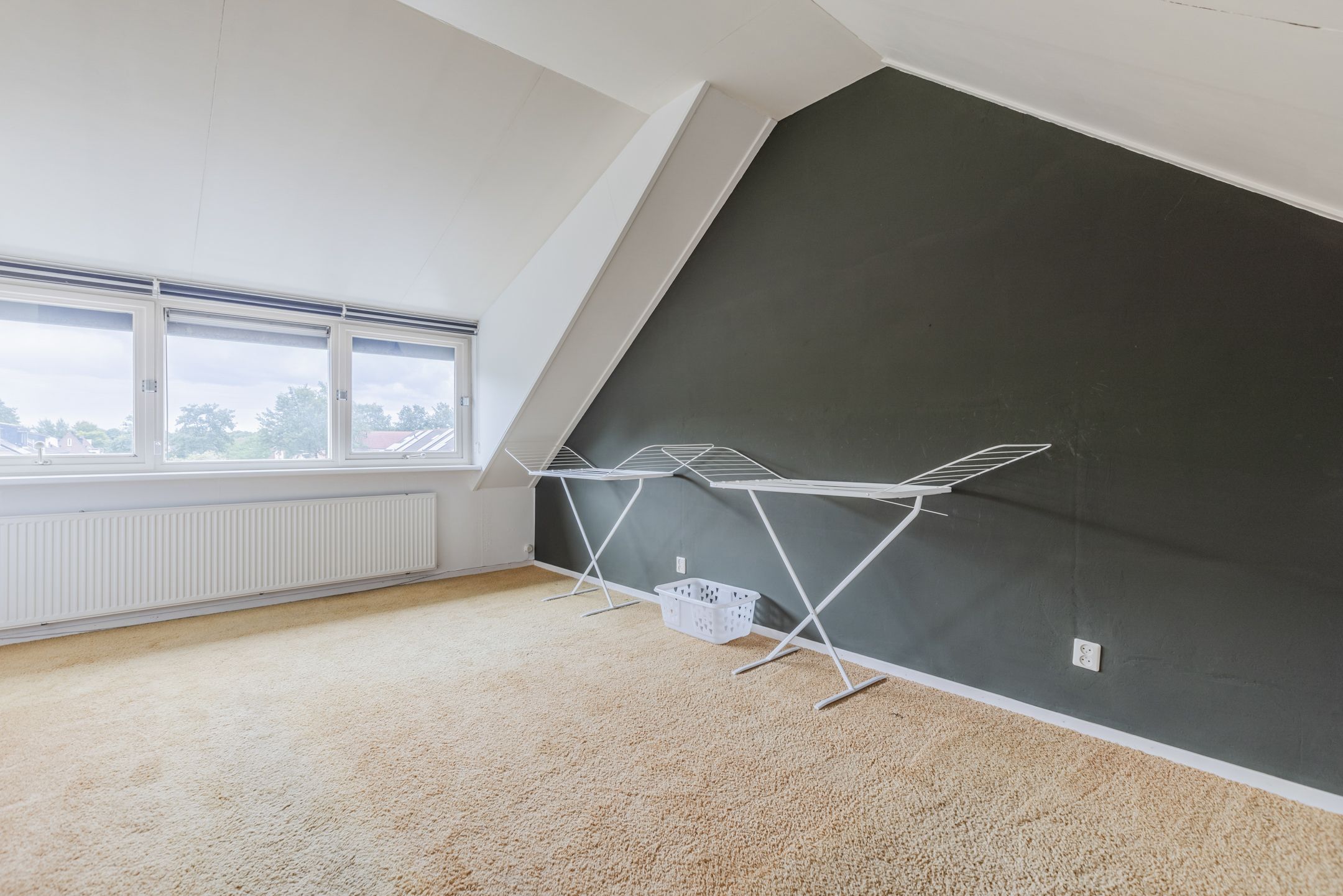 Foto 30 van Zanglijster 117