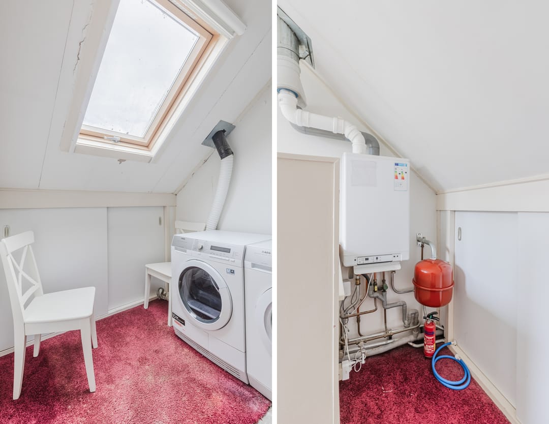 Foto 31 van Zanglijster 117