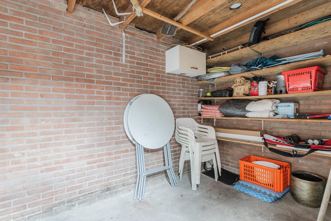 Foto 32 van Zanglijster 117