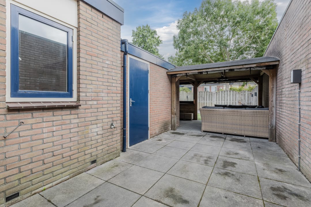 Foto 37 van Zanglijster 117