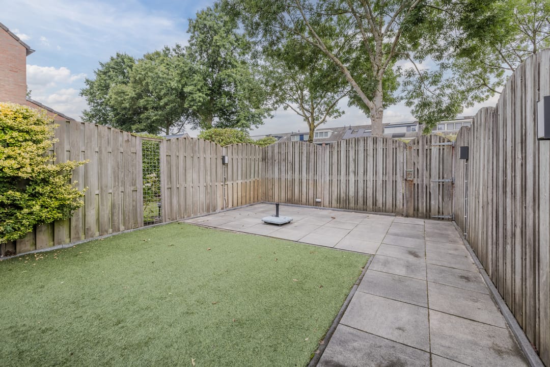 Foto 38 van Zanglijster 117