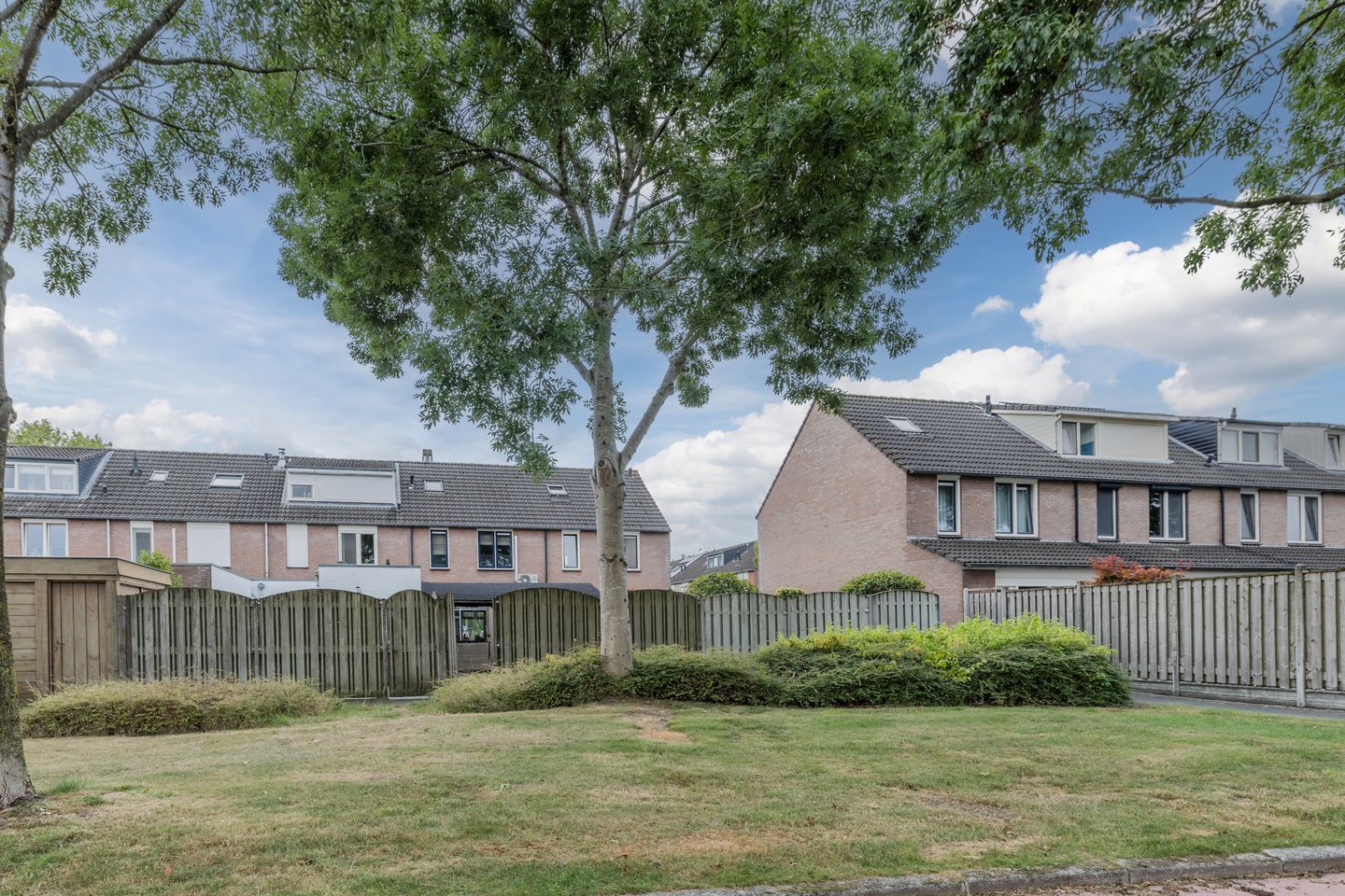 Foto 40 van Zanglijster 117